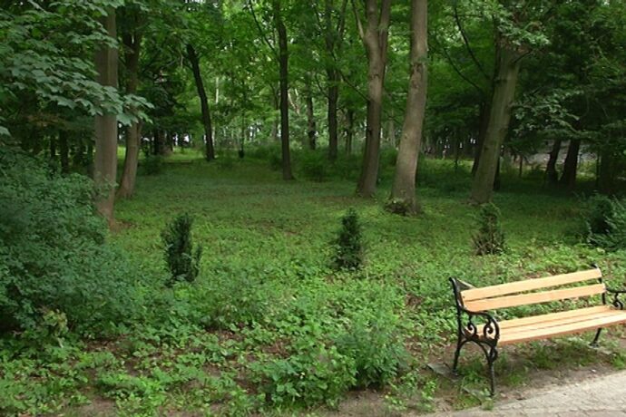 Będzie park im. Antoniego Szarmacha