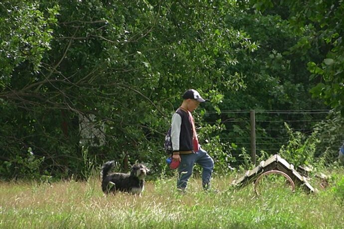 Nowy wybieg dla psów przy Okopowej