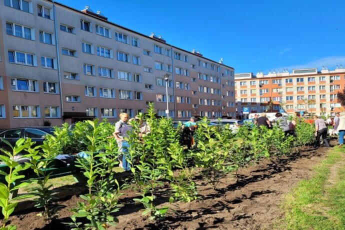 Laurowiśnie przy Grochowskiej