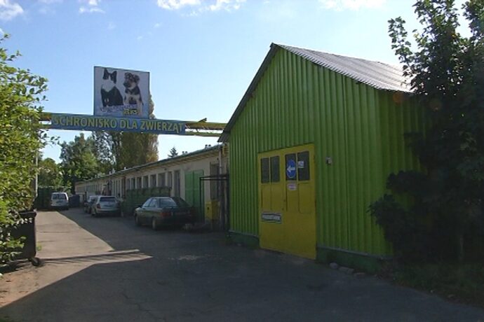 O schronisku na komisji