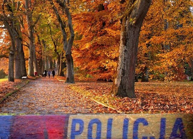 Pamiętajmy o bezpieczeństwie na drodze