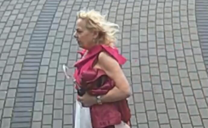 Policja poszukuje podejrzanej o kradzież