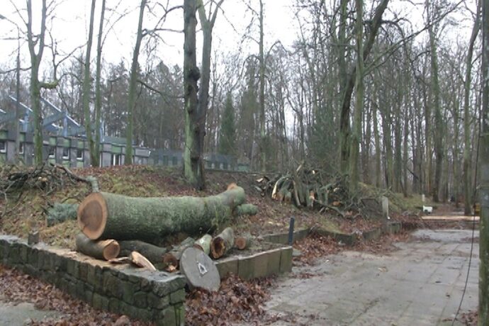 Co dalej z Parkiem Fredry?