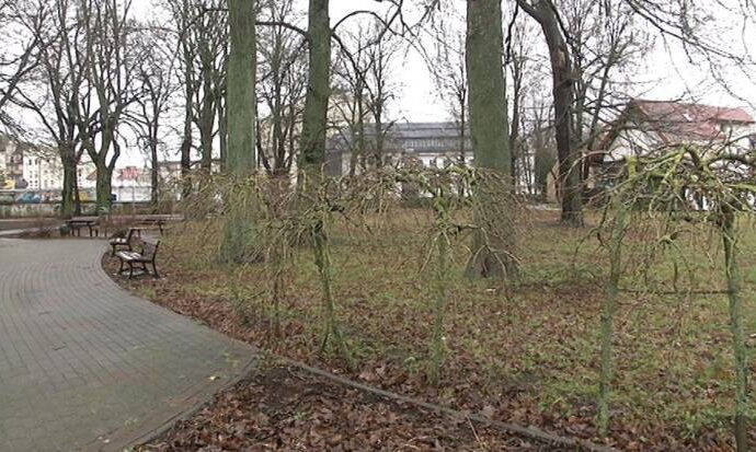 Park Neonów coraz bliżej
