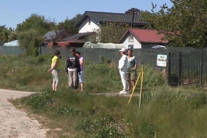 Tumany kurzu nad działkami. Działkowicze alarmują