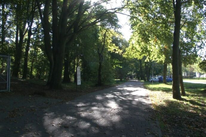 Miasto w rzece kwiatów