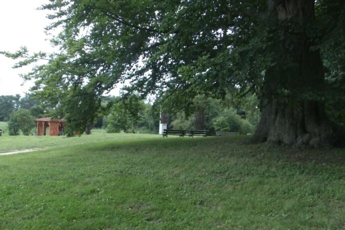 Piknik w mieście