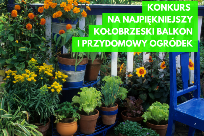 Konkurs na najpiękniejszy kołobrzeski balkon i przydomowy ogródek