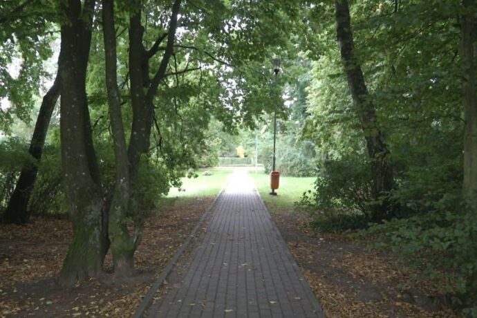 Miasto zrewitalizuje Park im. 3 Dywizji Piechoty