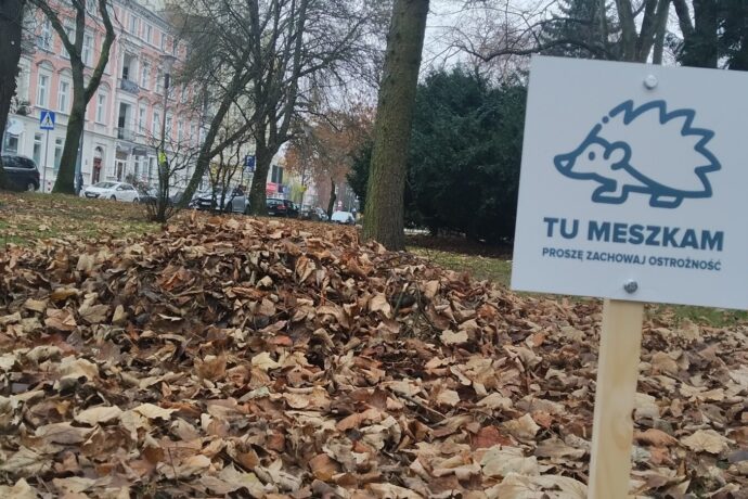 Kopce dla jeży
