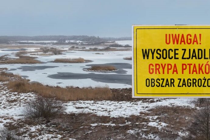 Ptasia grypa w Mokradle Pyszka – wprowadzono ograniczenia