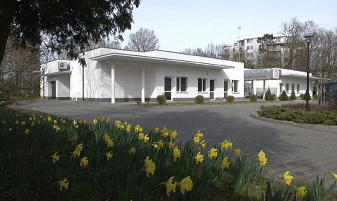 Nadzieja znów zakwitnie