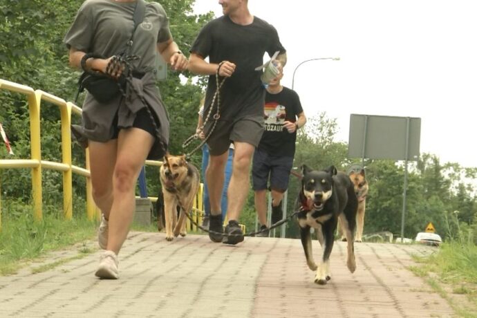 Kolejny weekend z pupilem za nami