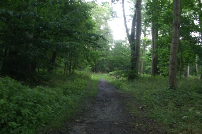 Park im. A. Fredry zostanie odwodniony