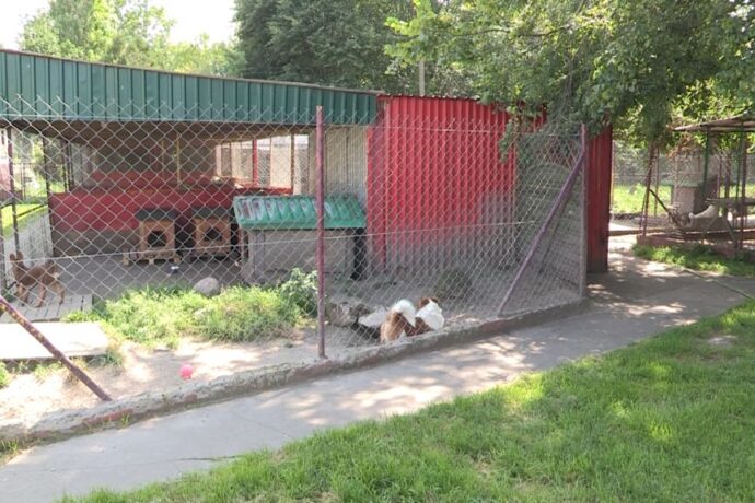 Trwają prace przy projektowaniu schroniska