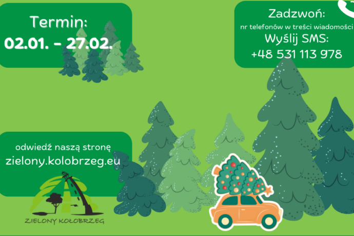 Poświąteczna zbiórka choinek. Sprawdź terminy i zasady odbioru
