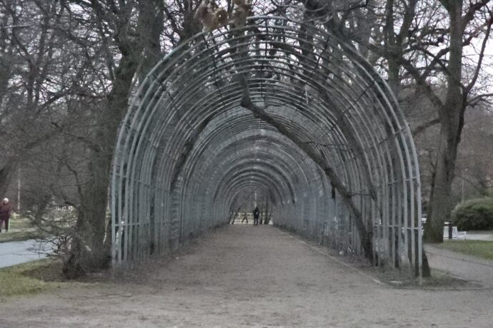 Bindaż Grabowy przejdzie rewitalizację