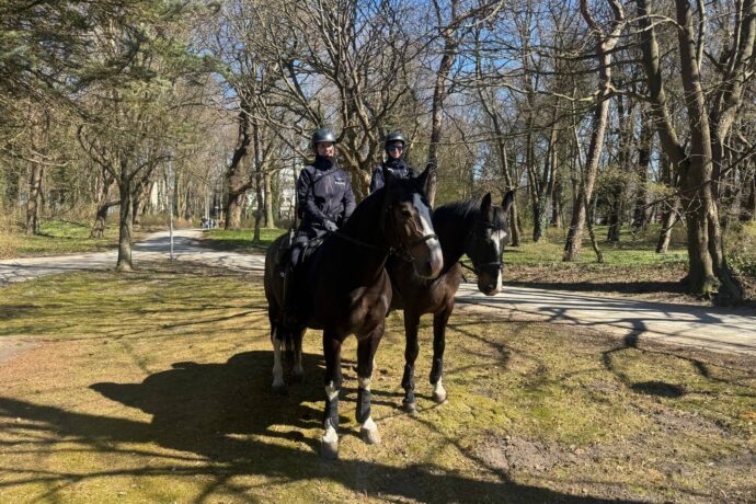 Patrol konny w powiecie kołobrzeskim