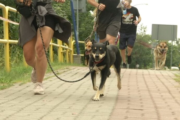 Weekend z pupilem już w weekend