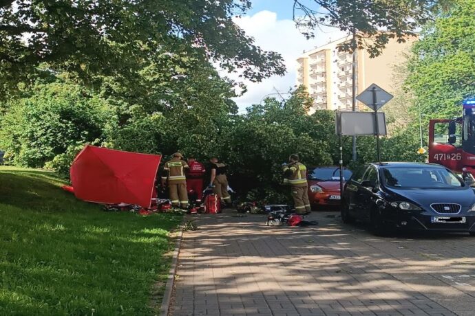 Drzewo runęło na przechodniów