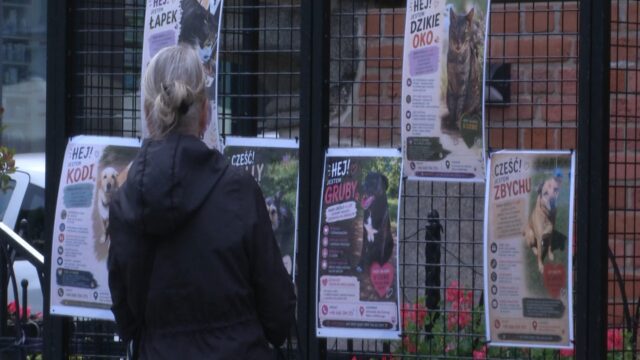 „Nie kupuj – adoptuj”. Daj szansę zwierzętom z kołobrzeskiego schroniska