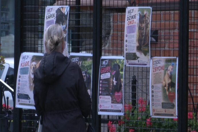 „Nie kupuj – adoptuj”. Daj szansę zwierzętom z kołobrzeskiego schroniska
