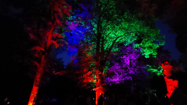 Światło, dźwięk i emocje. Noc Kolorów w Parku im. Stefana Żeromskiego