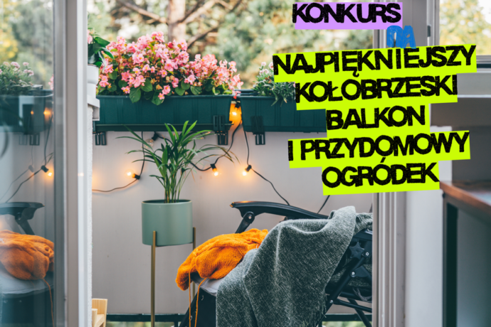 Konkurs na najpiekniejszy balkon i ogródek