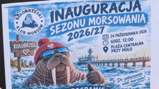 Morsy zapraszają do wody